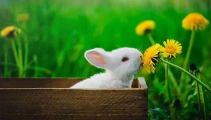 开云APP下载-中国足球比赛场面纷争不断，球员表现抢眼，我国足球比赛